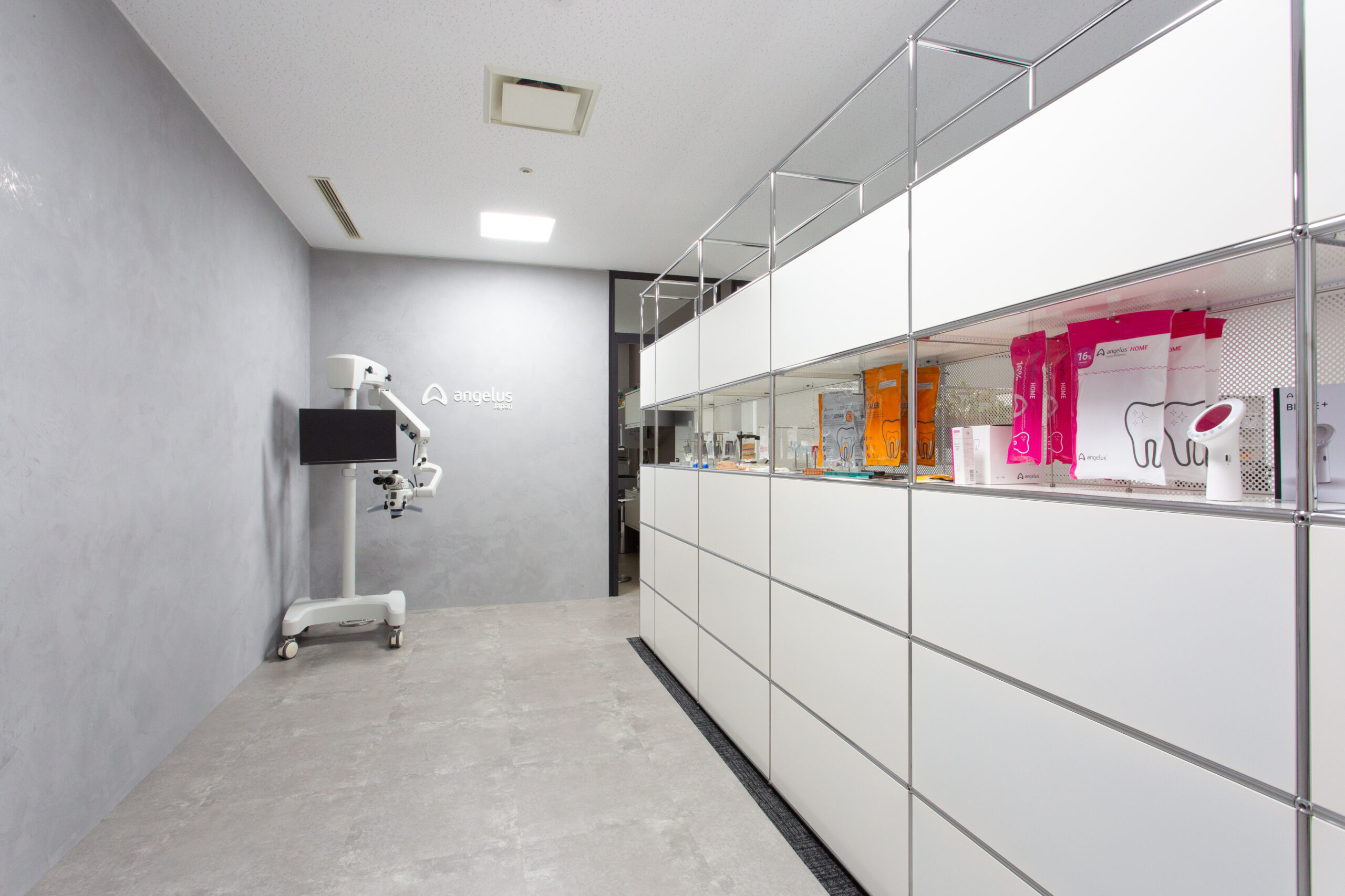 Angelus Japan 会社紹介